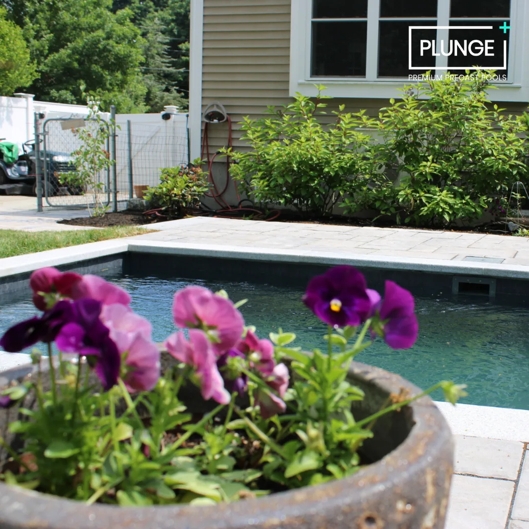 A backyard with a small swimming pool, colorful flowers in a pot, green bushes, a patio, and a house with siding and windows.