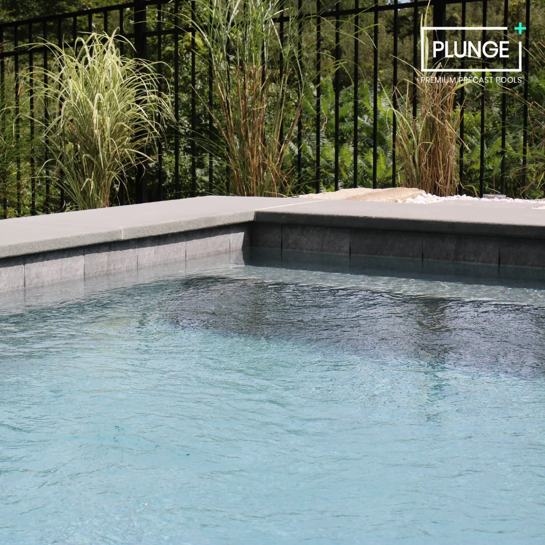 Close-up of a luxury outdoor swimming pool with dark tile edges, surrounded by greenery and tall ornamental grasses, with a black metal fence in the background.