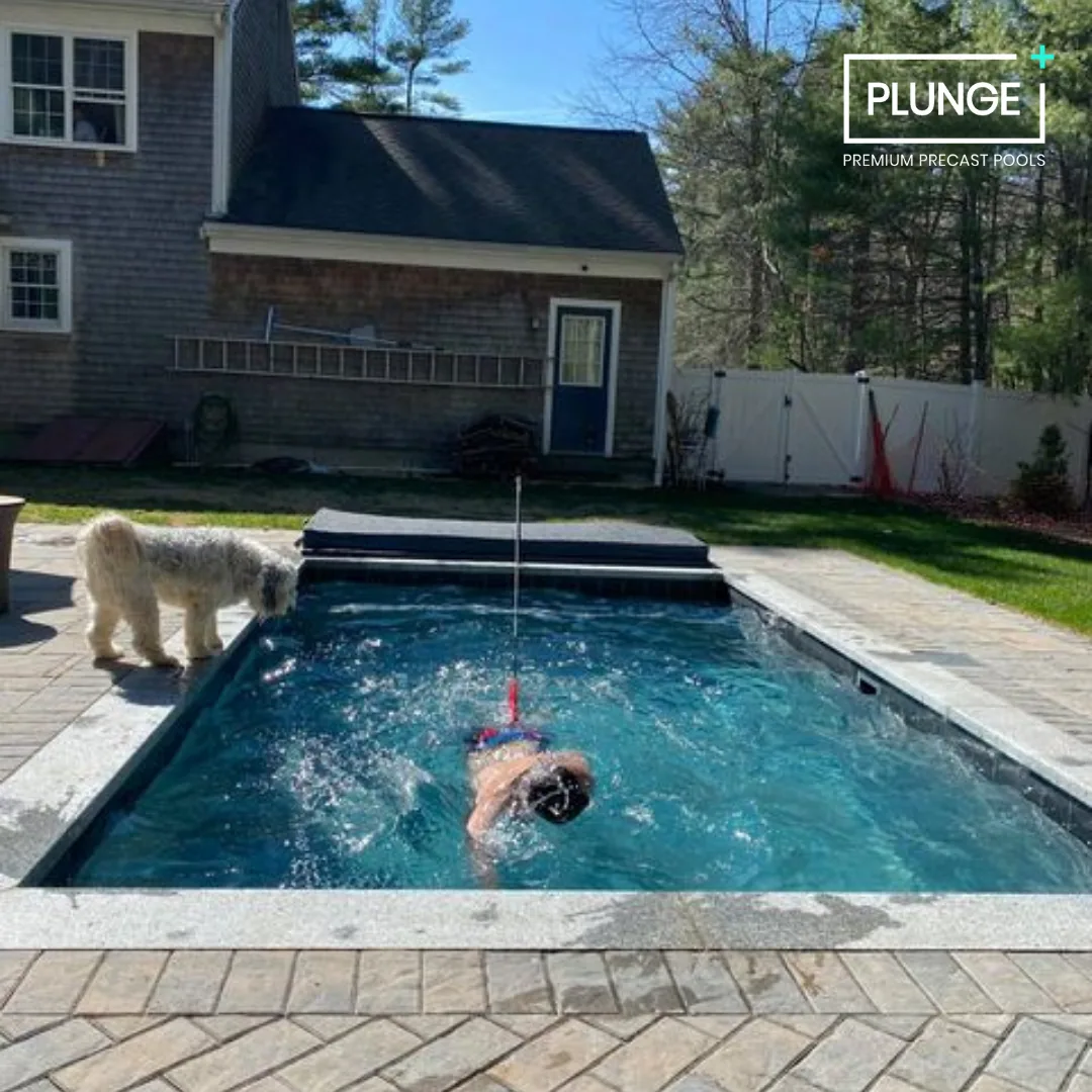 A person swimming in a backyard pool with a dog nearby. The pool is rectangular with a small set of steps at one end. The backyard has a patio, a house with gray siding, and trees in the background.